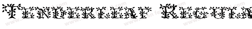Tenderleaf Regular字体转换